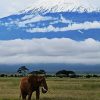 Mt. Kili and ellie