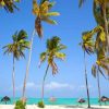 beach_in_zanzibar_kendwa_beach