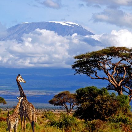 Safari Itineraries Tanzania