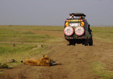 On a Game drive