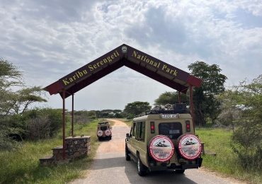 In Serengeti National Park